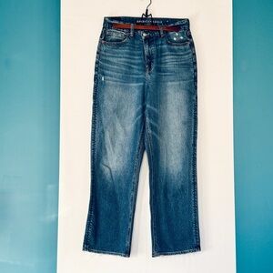 American Eagle High Rise Straight Jeans Size 10R | Style 4060 | 9/10